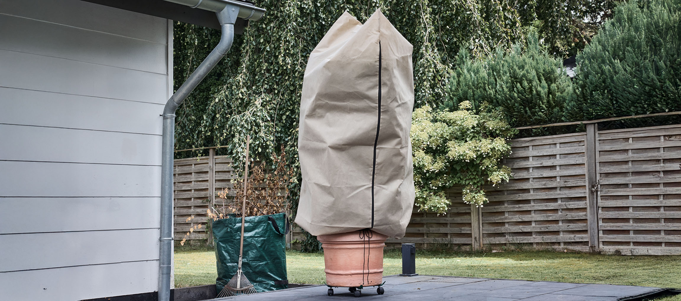 Plante en pot avec housse de protection hivernale sur une terrasse à côté d'une maison.