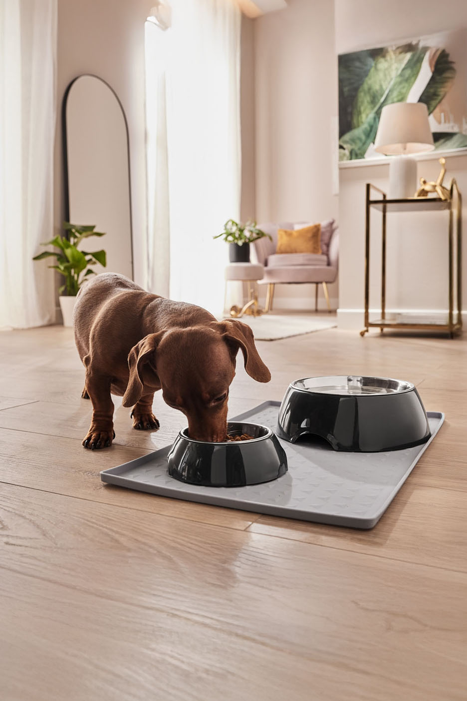 Un chien mange dans un élégant ensemble de deux bols sur un tapis antidérapant.