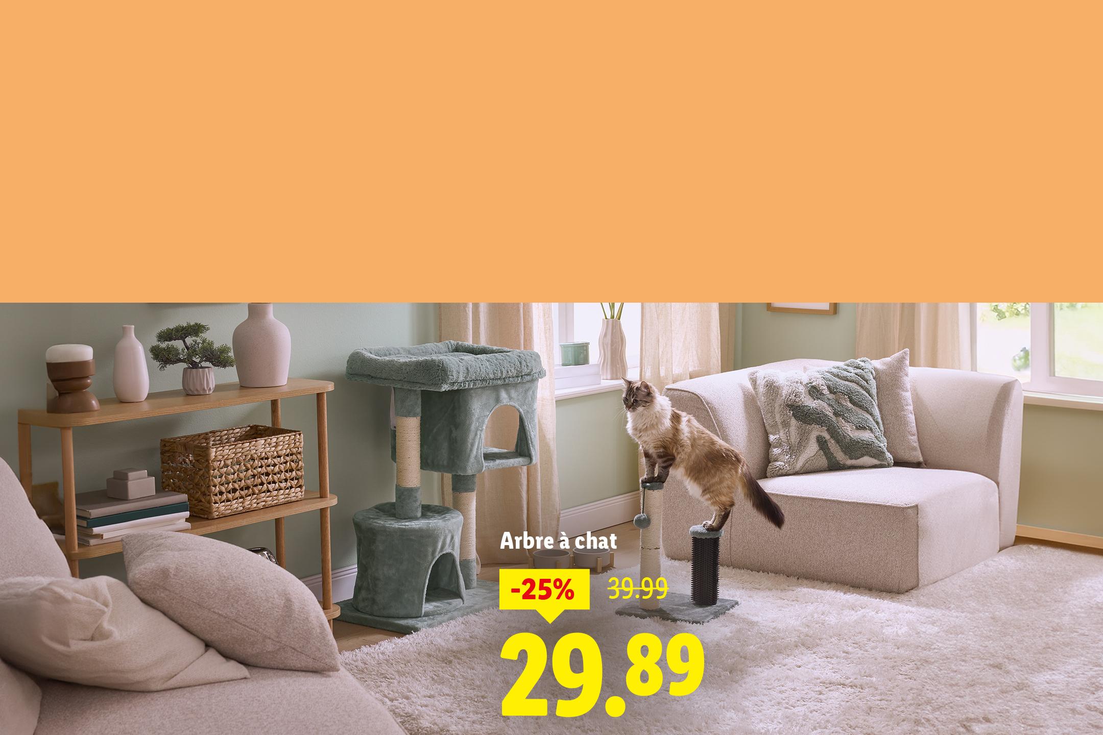 Arbre à chat vert avec un chat, canapé et étagère en bois, prix réduit à 29.89.