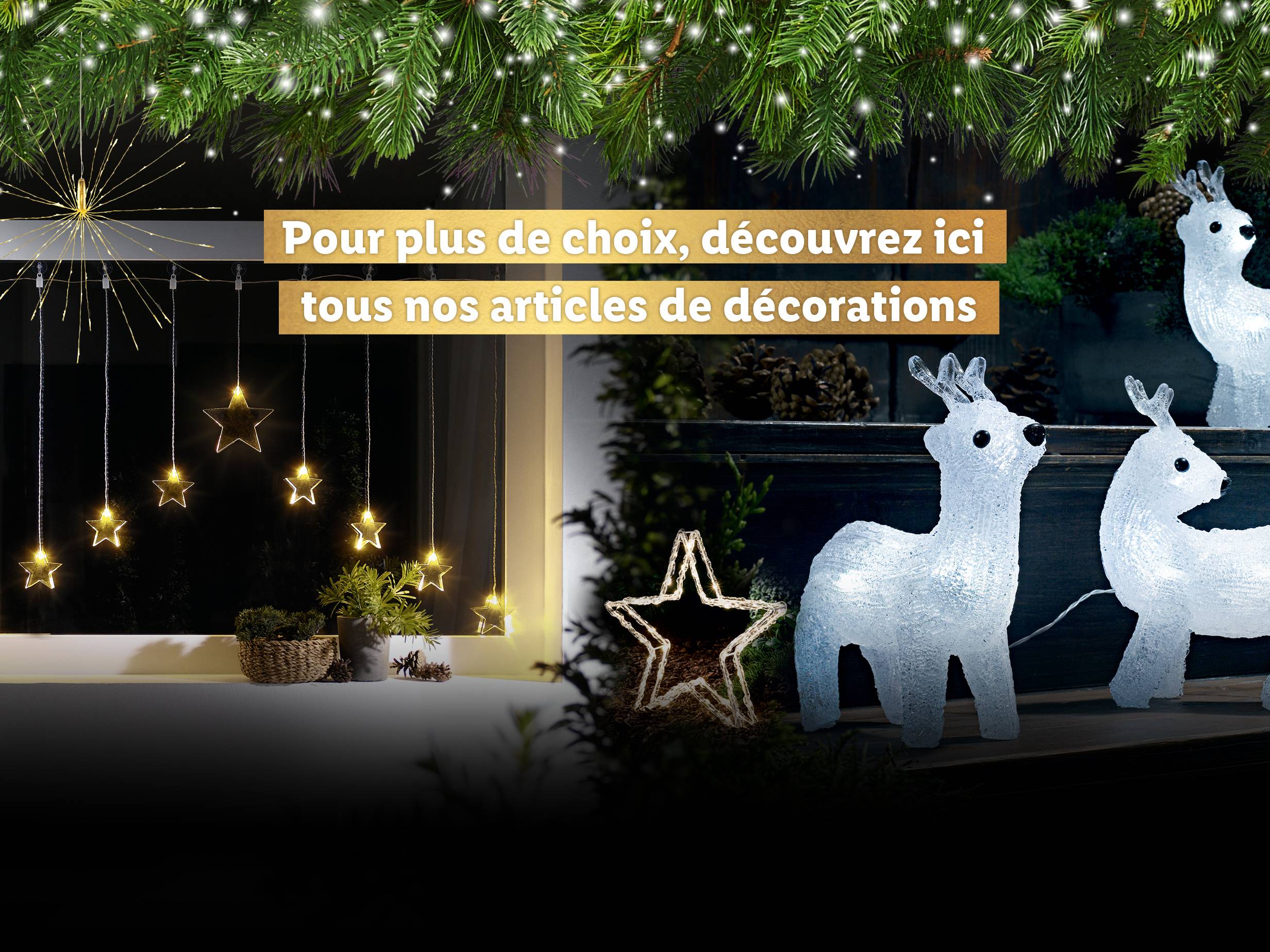 Cliquez ici 