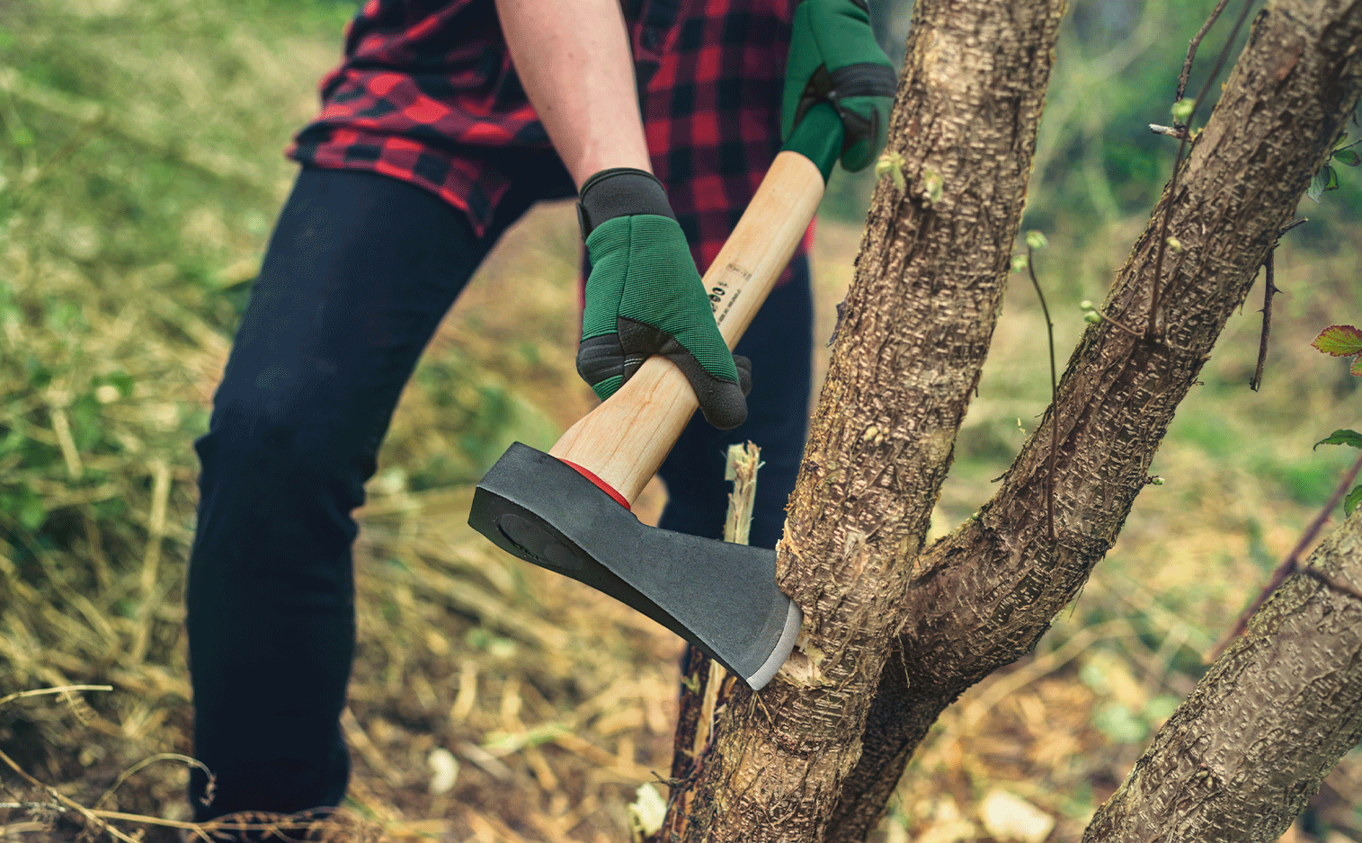 Bûcheron en chemise à carreaux et gants, coupant un arbre avec une hache.