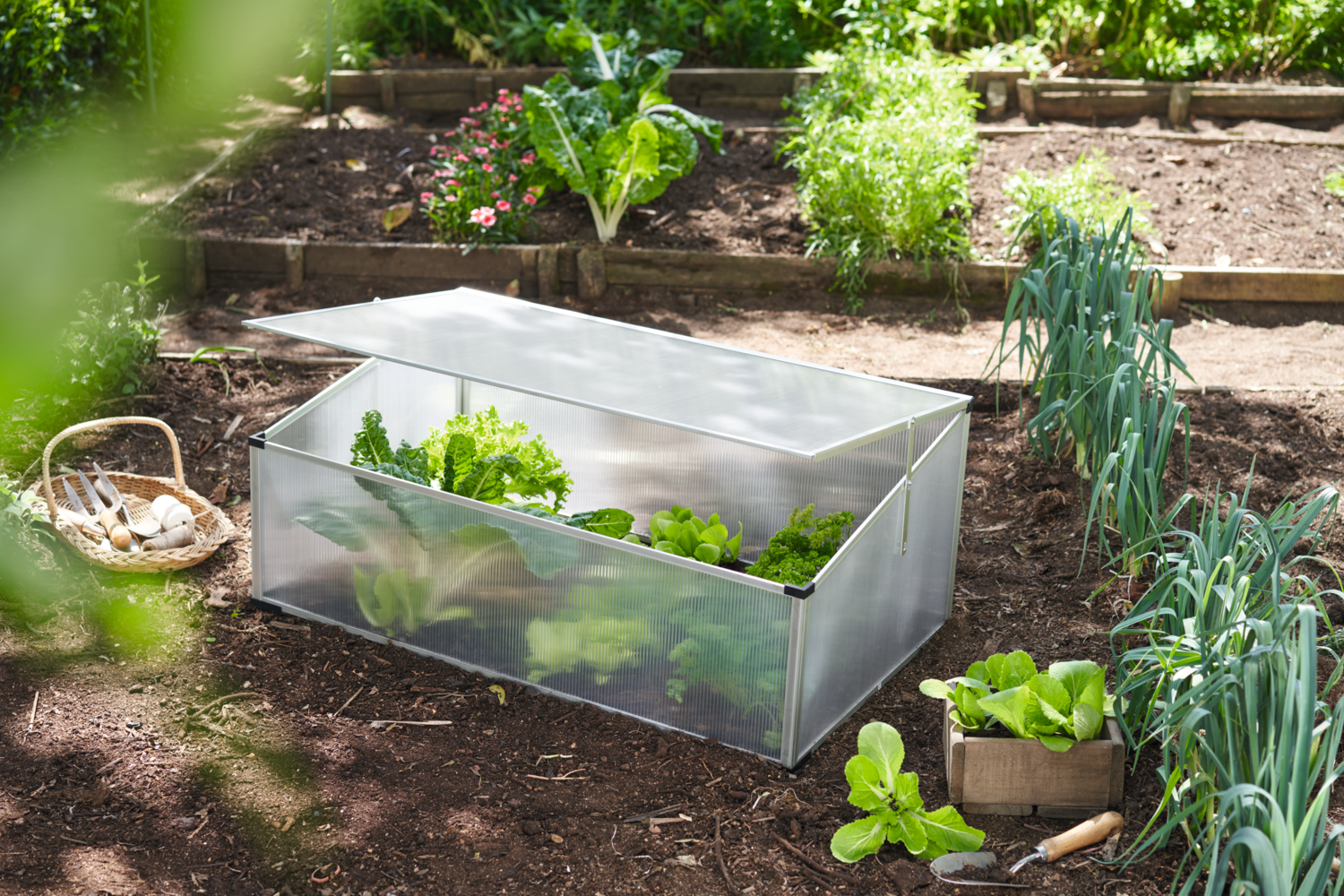 Comment fabriquer une mini-serre pour le jardin ? | Lidl